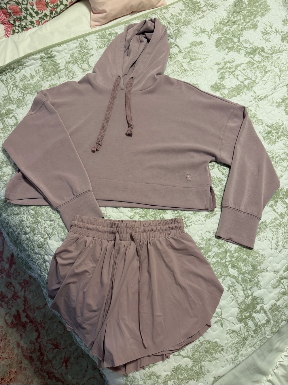 Altar'd State Mauve Cropped Hoodie & Shorts Set